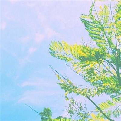 狼烟online游戏下载